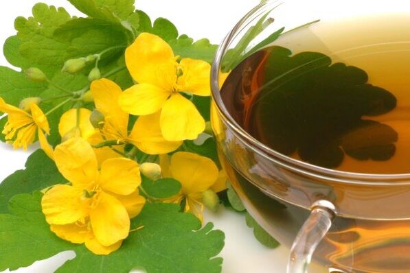 Infusioun vu Celandine fir d'Behandlung vu Prostatitis